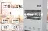 工业除湿机 优选贝依特风冷除湿机