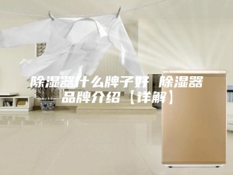 知识百科除湿器什么牌子好 除湿器品牌介绍【详解】