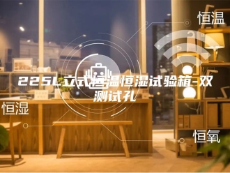 常见问题225L立式恒温恒湿试验箱-双测试孔