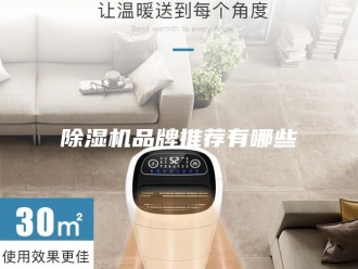 企业新闻除湿机品牌推荐有哪些