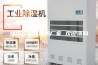 潍坊商用除湿机厂家 欢迎选购