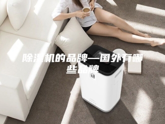 企业新闻除湿机的品牌—国外有哪些品牌