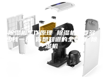 企业新闻除湿机工作原理 除湿机需要多少钱一台 你想知道的全都有 除湿机