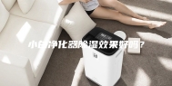 小白净化器除湿效果好吗？