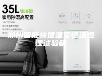 常见问题郑州智能快速温变恒温恒湿试验箱