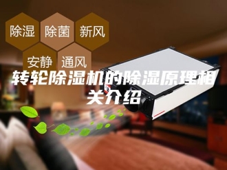 企业新闻转轮除湿机的除湿原理相关介绍