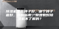 除湿机哪些牌子好，哪个牌子最好，选购指南，有没有对除湿机不了解的？