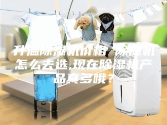 行业新闻升温除湿机价格 除湿机怎么去选,现在除湿机产品真多哦？