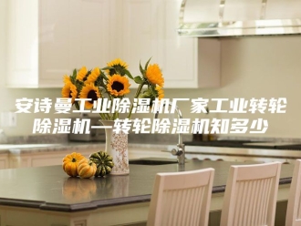 企业新闻安诗曼工业除湿机厂家工业转轮除湿机—转轮除湿机知多少