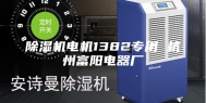 除湿机电机1382专用 杭州富阳电器厂
