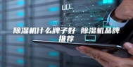 除湿机什么牌子好 除湿机品牌推荐