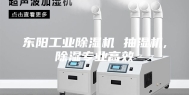 东阳工业除湿机 抽湿机,除湿专业高效