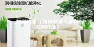 如何除湿（如何除湿气最有效的方法）