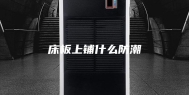床板上铺什么防潮