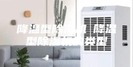 降温型除湿机─降温型除湿机的类型