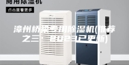 漳州桥梁专用除湿机(推荐之三：2023已更新)