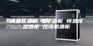 成都红酒柜 电子酒柜 恒温恒湿酒柜 压缩机酒柜