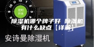 除湿机哪个牌子好 除湿机有什么缺点【详解】