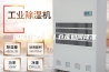 恒伟仓储知识丨仓库如何除湿