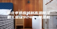 湖北孝感应城耐高温除湿机工业级9240C除湿机