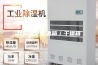 沈阳真空恒温箱／干燥箱