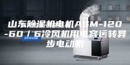 山东除湿机电机ASM-120-60／6冷风机用电容运转异步电动机