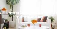生蚝可以使用除湿机？烘干生蚝用除湿机