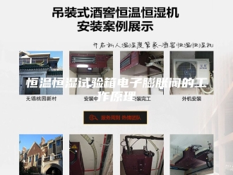 常见问题恒温恒湿试验箱电子膨胀阀的工作原理