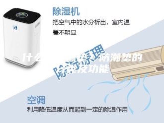 知识百科什么是防潮垫？防潮垫的分类及功能