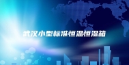 武汉小型标准恒温恒湿箱