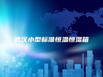 常见问题武汉小型标准恒温恒湿箱