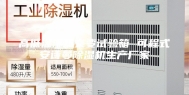 高低温湿热交变试验箱 可程式安诗曼除湿机生产厂家