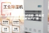 高低温湿热交变试验箱 可程式安诗曼除湿机生产厂家