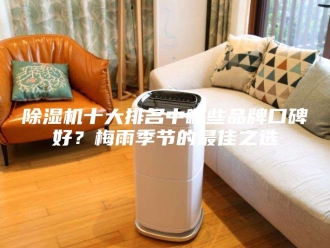 企业新闻除湿机十大排名中哪些品牌口碑好？梅雨季节的最佳之选