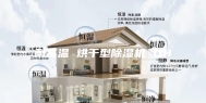 耐高温 烘干型除湿机 DH