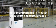 除湿机效果明显吗（一文读懂除湿机工作原理与效果）