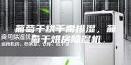 葡萄干烘干需排湿，葡萄干烘房除湿机