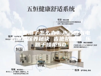 知识百科吉他受潮了怎么办？木吉他与电吉他的保养秘诀 吉他防潮箱 乐器干燥柜50
