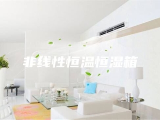 常见问题非线性恒温恒湿箱