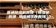 普通除湿机原理（除湿机原理 除湿机工作原理）