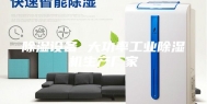 除湿设备 大功率工业除湿机生产厂家