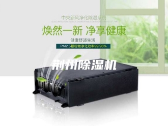 行业新闻荆州除湿机