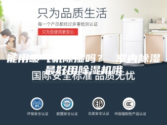 行业新闻能用暖气机除湿吗？ 室内除湿最好用除湿机哦