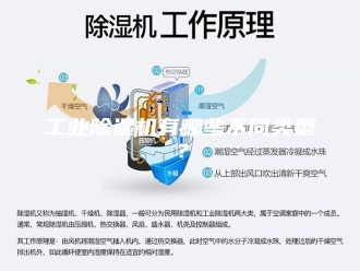 行业新闻工业除湿机有哪些不同类型？