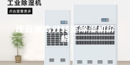 连云港高效转笼除湿机价格