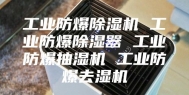 工业防爆除湿机 工业防爆除湿器 工业防爆抽湿机 工业防爆去湿机