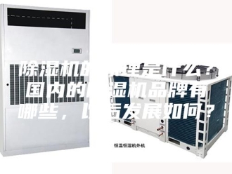 企业新闻除湿机的原理是什么？国内的除湿机品牌有哪些，以后发展如何？