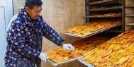 高温烘干机在大型农业部门才更具有经济可行性