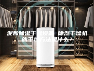 行业新闻泥盐除湿干燥设备 除湿干燥机的干燥方法是什么？