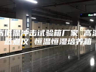 常见问题高低温冲击试验箱厂家 高温蒸煮仪 恒温恒湿培养箱